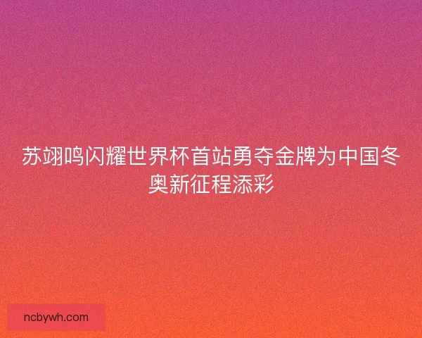 苏翊鸣闪耀世界杯首站勇夺金牌为中国冬奥新征程添彩