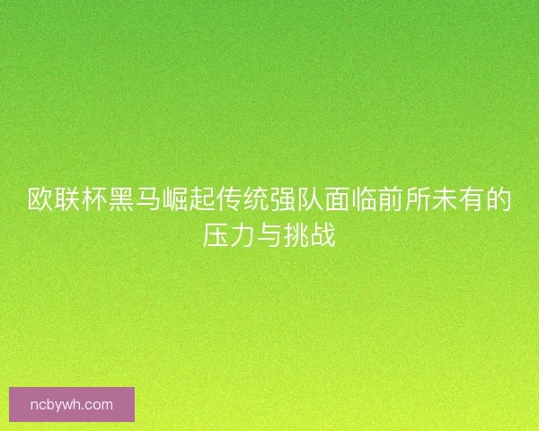 欧联杯黑马崛起传统强队面临前所未有的压力与挑战